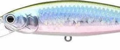 Baits Lucky Craft Pointer 100DD 4 Inch Deep Diving Suspending Jerkbait