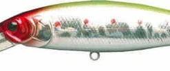 Lucky Craft Pointer 100DD 4 Inch Deep Diving Suspending Jerkbait - Clearance 37 Lucky Craft Pointer 100DD 4 Inch Deep Diving Suspending Jerkbait - Clearance
