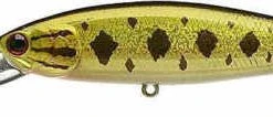 Lucky Craft Pointer 100DD 4 Inch Deep Diving Suspending Jerkbait - Clearance 38 Lucky Craft Pointer 100DD 4 Inch Deep Diving Suspending Jerkbait - Clearance