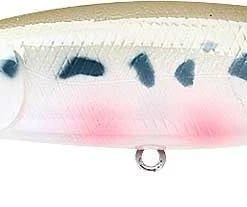 Lucky Craft Pointer 100DD 4 Inch Deep Diving Suspending Jerkbait - Clearance 42 Lucky Craft Pointer 100DD 4 Inch Deep Diving Suspending Jerkbait - Clearance