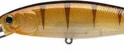 Lucky Craft Pointer 100DD 4 Inch Deep Diving Suspending Jerkbait - Clearance 45 Lucky Craft Pointer 100DD 4 Inch Deep Diving Suspending Jerkbait - Clearance