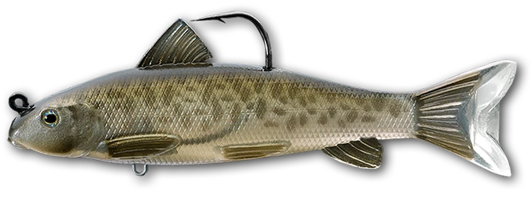 LIVETARGET Sucker Soft Body Swimbait 3 LIVETARGET Sucker Soft Body Swimbait