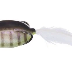 Evergreen International SS Softshell Topwater Hollow Body Popper Frog