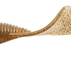 Z Man StreakZ Curly TailZ 4 Inch Soft Plastic Grub 5 Pack