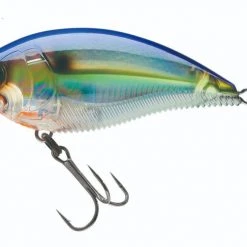 Yo-Zuri 3DB Square-Lip 2 3/4 Inch Shallow Diving Square Bill Crankbait