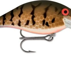 Baits Luhr-Jensen Speed Trap Crankbait