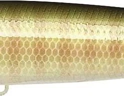 Lucky Craft Gunfish 115 Topwater Walker/Popper Baits