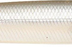 Lucky Craft Gunfish 117 Topwater Popper/Walker