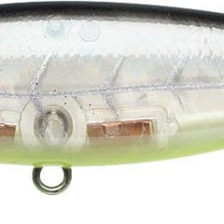 Lucky Craft Pointer 78 Suspending Shallow Jerkbait