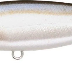 Lucky Craft Pointer 78 Suspending Shallow Jerkbait