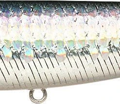 Lucky Craft Sammy 115 Topwater Walker