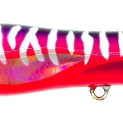 Nomad Design Chug Norris Saltwater/Bluewater Popper Baits
