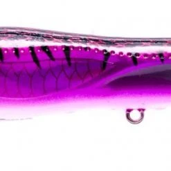 Nomad Design Chug Norris Saltwater/Bluewater Popper Baits