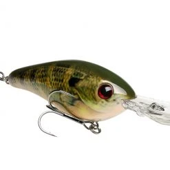 Strike King Pro Model Series 6XD Crankbaits