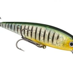 Strike King KVD 200 Series 4 1/2 Inch Suspending Medium Jerkbait