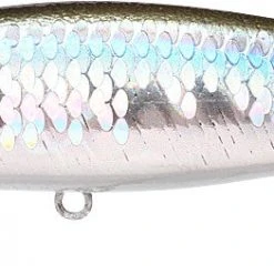 Lucky Craft Pointer 100 SP 4 Inch Suspending Jerkbait Baits 73 Lucky Craft Pointer 100 SP 4 Inch Suspending Jerkbait Baits