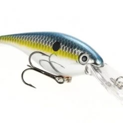 Strike King Pro Model Lucky Shad 3 Inch Crankbait 14 Strike King Pro Model Lucky Shad 3 Inch Crankbait