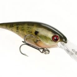 Strike King Pro Model Lucky Shad 3 Inch Crankbait 16 Strike King Pro Model Lucky Shad 3 Inch Crankbait