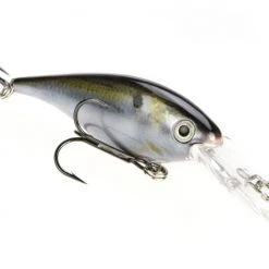 Strike King Pro Model Lucky Shad 3 Inch Crankbait 17 Strike King Pro Model Lucky Shad 3 Inch Crankbait