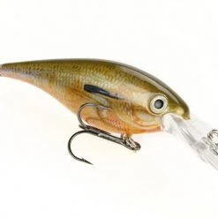 Strike King Pro Model Lucky Shad 3 Inch Crankbait 18 Strike King Pro Model Lucky Shad 3 Inch Crankbait