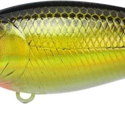 Lucky Craft Moonsault CB-100 Shallow Diving Crankbait