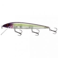 Smithwick Elite 8 Rogue 4 1/2 Inch Suspending Jerkbait Baits