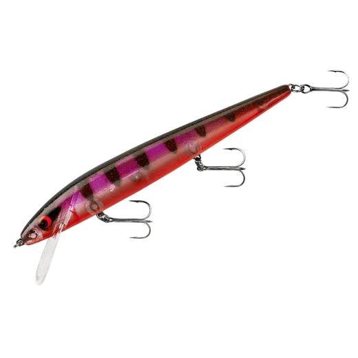 Baits Smithwick Perfect 10 Rogue 5 1/2 Inch Deep Diving Suspending Jerkbait 8 Baits Smithwick Perfect 10 Rogue 5 1/2 Inch Deep Diving Suspending Jerkbait