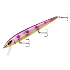 Baits Smithwick Perfect 10 Rogue 5 1/2 Inch Deep Diving Suspending Jerkbait 44 Baits Smithwick Perfect 10 Rogue 5 1/2 Inch Deep Diving Suspending Jerkbait