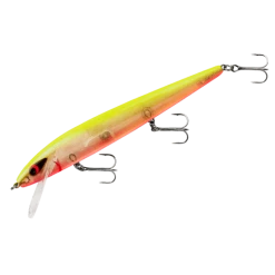 Baits Smithwick Perfect 10 Rogue 5 1/2 Inch Deep Diving Suspending Jerkbait 48 Baits Smithwick Perfect 10 Rogue 5 1/2 Inch Deep Diving Suspending Jerkbait