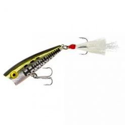 Baits Rebel Pop-R Topwater Popper