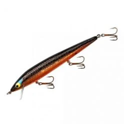 Smithwick Floating Rattlin' Rogue 4 1/2 Inch Jerkbait/Trolling Minnow 21 Smithwick Floating Rattlin' Rogue 4 1/2 Inch Jerkbait/Trolling Minnow