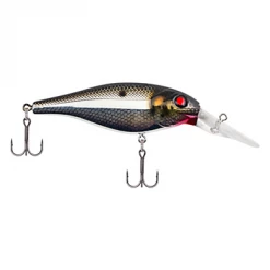 Berkley Bad Shad Medium Diving Crankbait