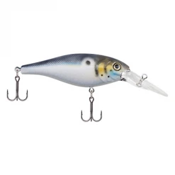 Berkley Bad Shad Medium Diving Crankbait