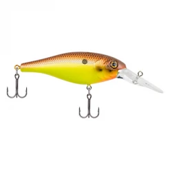 Berkley Bad Shad Medium Diving Crankbait