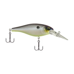 Berkley Bad Shad Medium Diving Crankbait