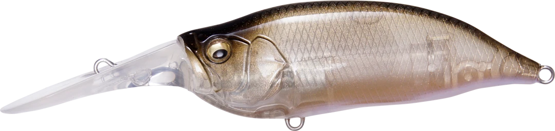 Megabass IXI Shad Type 3 Deep Diving Crankbait Baits 6 Megabass IXI Shad Type 3 Deep Diving Crankbait Baits