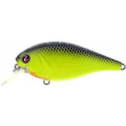 River2Sea Ish Monroe Biggie Poppa Bumpin' Rattle Fast