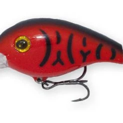 Reaction Strike 2RC Series 1 Shallow Diving Crankbait 25 Reaction Strike 2RC Series 1 Shallow Diving Crankbait