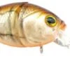 Baits River2Sea V-Crank 75 Medium Diving Crankbait