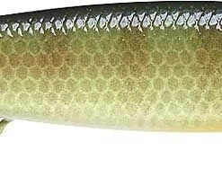 Baits Lucky Craft Flash Pointer 100 Shallow Diving Jerkbait