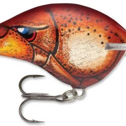 Baits Rapala Dt Series Crankbait Dt14