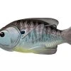 Baits Livetarget Sunfish 90 Hollow Body 3 1/2"