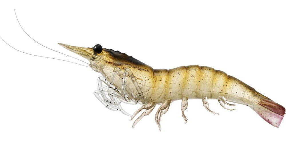 Livetarget Rigged Shrimp 75 1/4 Oz. 4 Pack Baits 2 Livetarget Rigged Shrimp 75 1/4 Oz. 4 Pack Baits