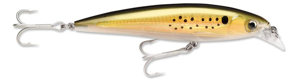 Baits Rapala X-Rap Saltwater Sxr-10 4" 2 Baits Rapala X-Rap Saltwater Sxr-10 4"