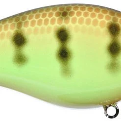 Strike King Kvd Square Bill 1.0 Silent Crankbaits