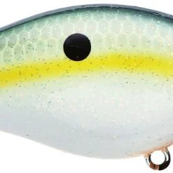 Strike King Kvd Square Bill 1.0 Silent Crankbaits