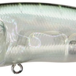 Megabass Pop Max Baits