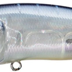 Megabass Pop Max Baits