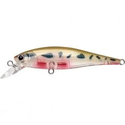 Lucky Craft Pointer 65 Baits