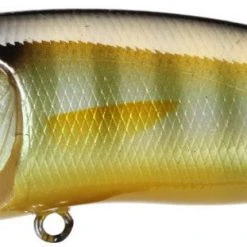 Megabass Pop Max Baits